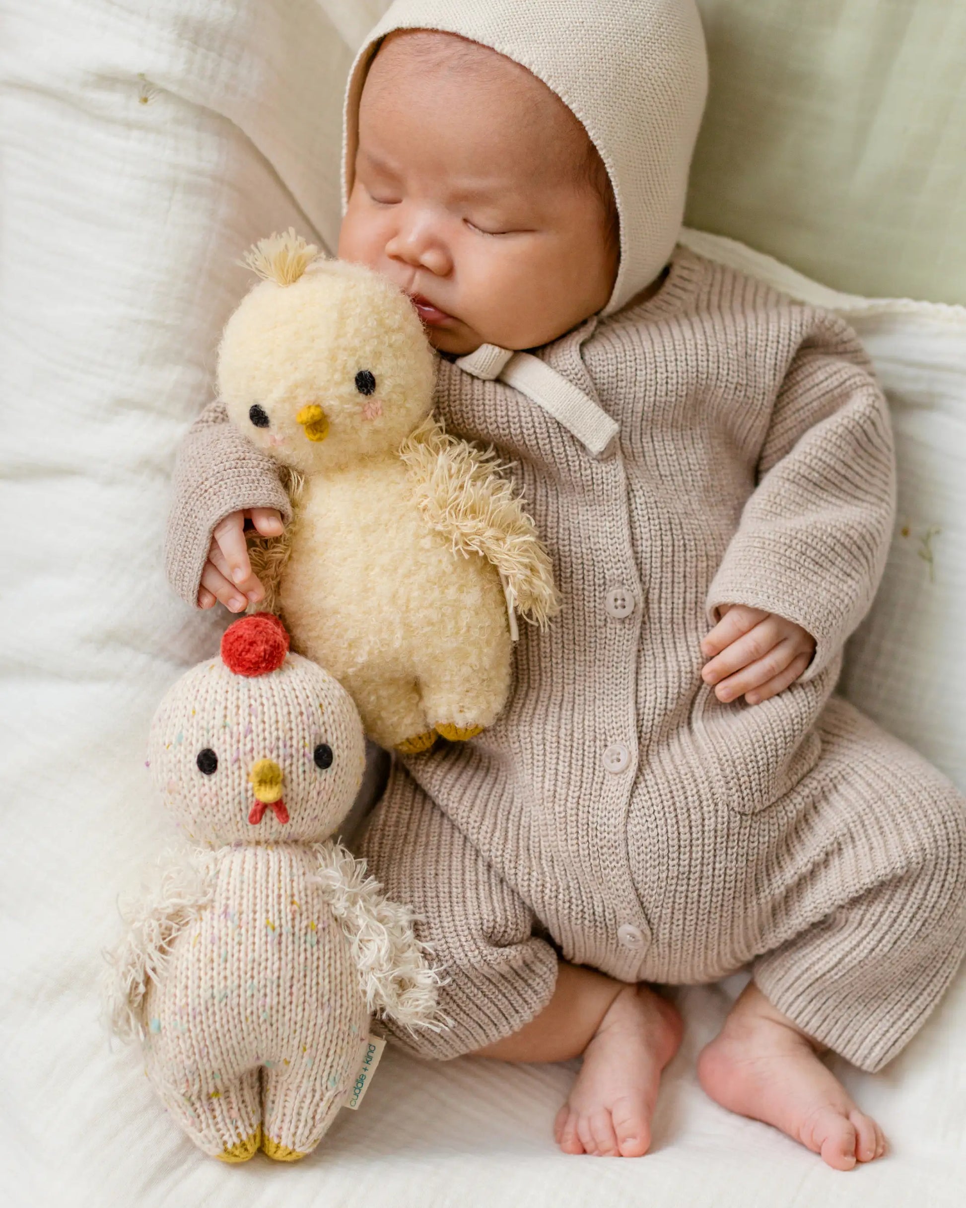 Baby chicken