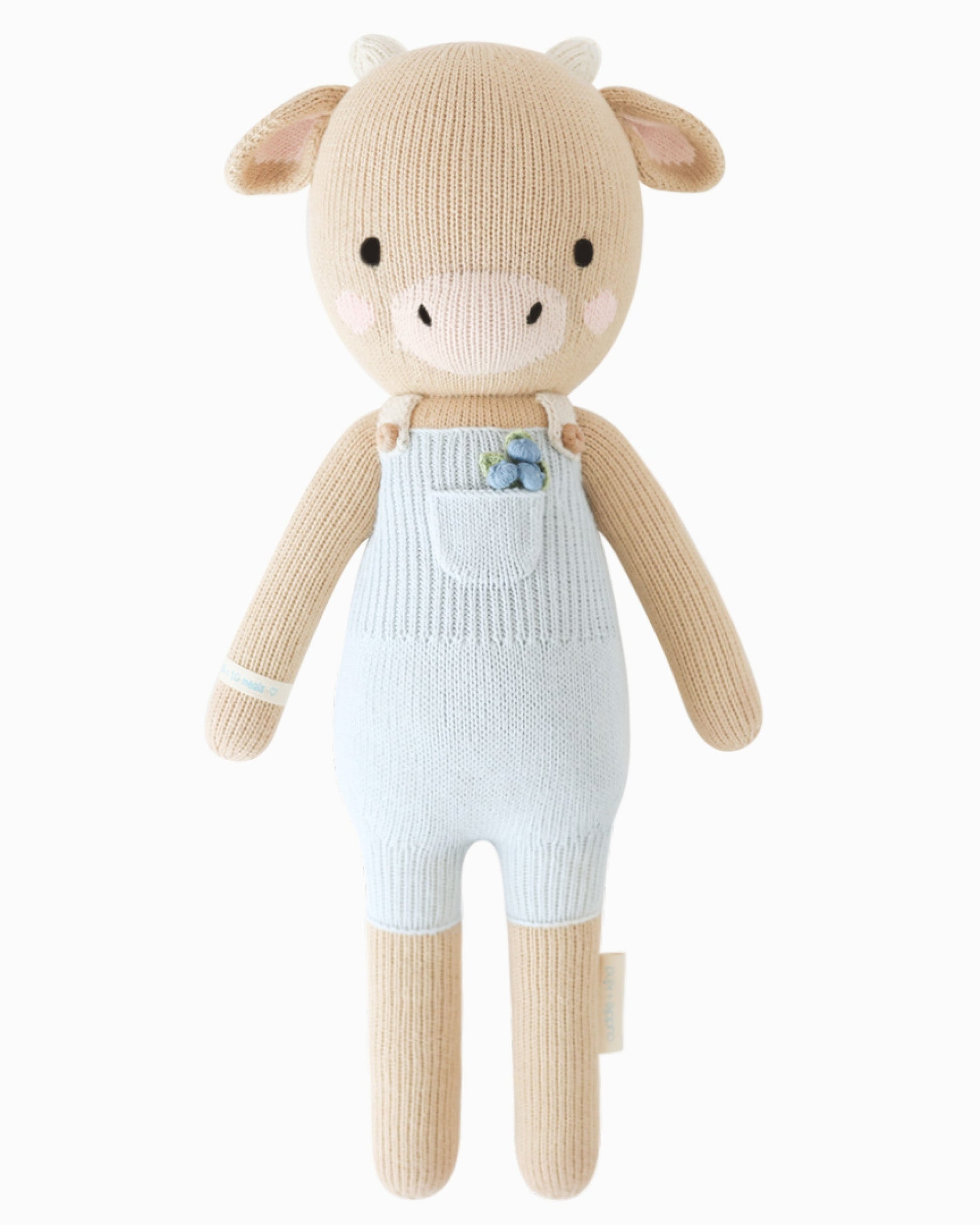 Asher the cow